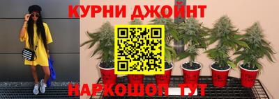 гидра Краснодар