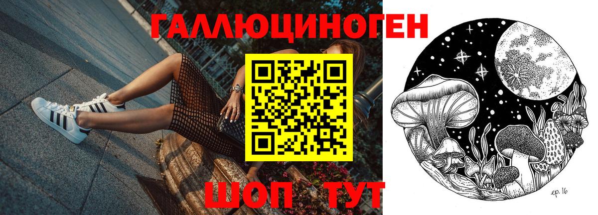Сорочинск  Галлюциногенные грибы Psilocybe  Вход с VPN 